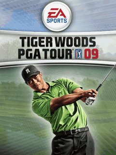 game pic for Tiger Woods Pga Tour 09